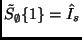 $\tilde{S}_\emptyset\{ 1 \} = \hat{I}_s$